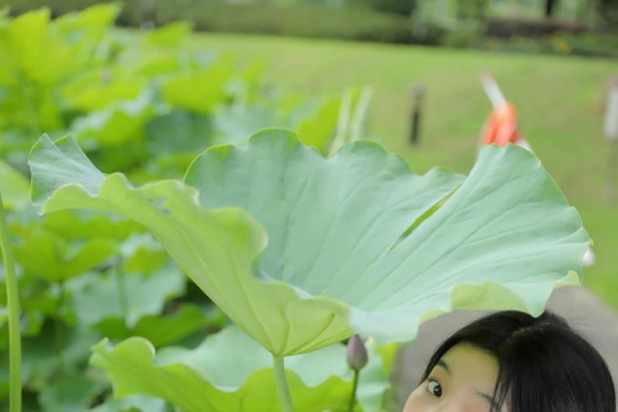 朝阳伴游T台模特仰莎熙